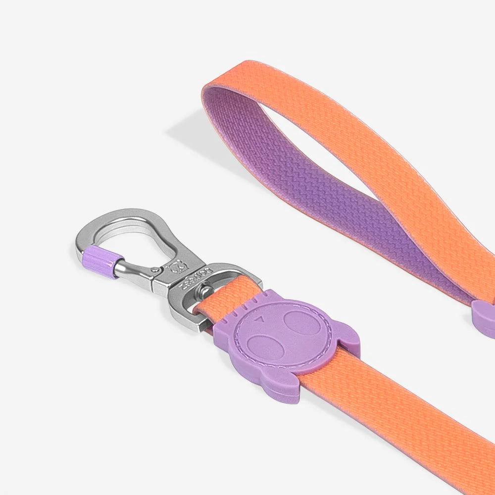 Neopro Iris Dog Collar by Zee.Dog - Durable & Stylish Pet Collar for Small & Medium Dogs - Perfect for Walks, Training & Everyday Use