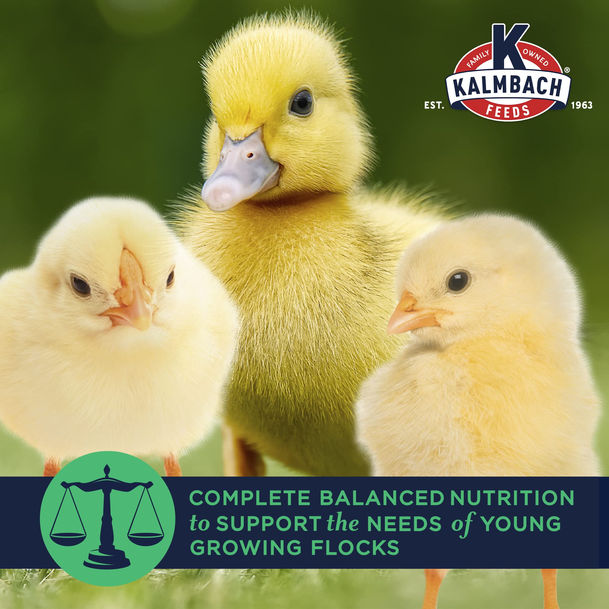 Kalmbach Feeds 20% Flock Maker Crumbles - High Protein Chicken Feed for Mixed Flocks of Poultry (50 lb Bag) - Perfect for Laying Hens, Broilers & Backyard Chickens