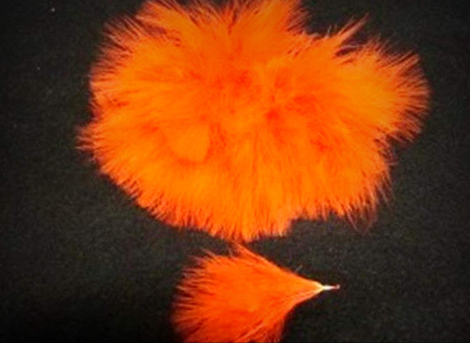 50pcs Bright Orange Marabou Turkey Feathers for DIY Crafts, Costumes, Hats, Pens & Hair Accessories - Perfect for Wedding Decor, Party Masks & Home Decoration