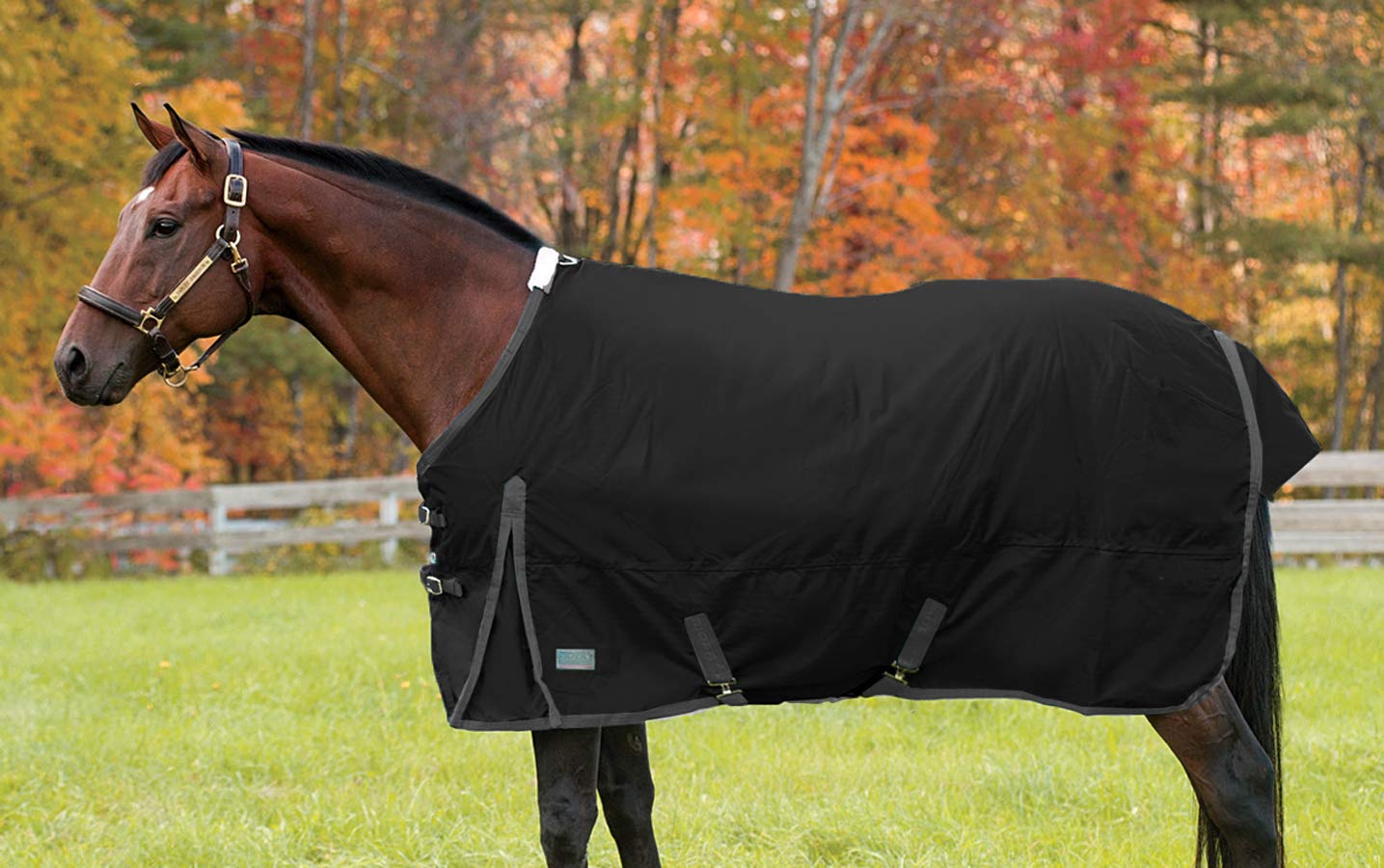 Dover Saddlery Medium Weight Supreme Turnout Blanket for Horses - Waterproof & Breathable Winter Horse Blanket for Riding, Training & Stable Use