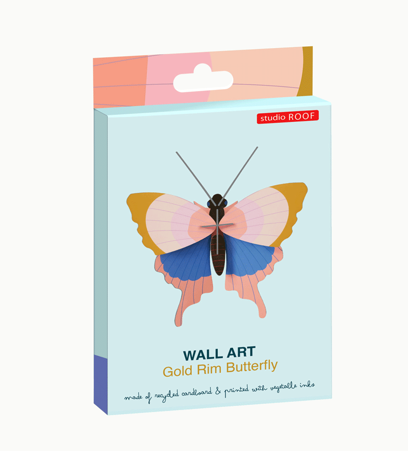 Gold Rim Butterfly Small Insect Specimen - Handcrafted by Studio ROOF - Perfect for Home Decor, Shadow Box Display & Entomology Collections