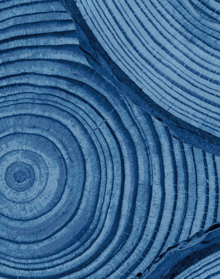 Nathan Turner Faux Bois Blue Wallpaper - Premium Peel & Stick Wallpaper for Bedroom, Living Room & Home Decor