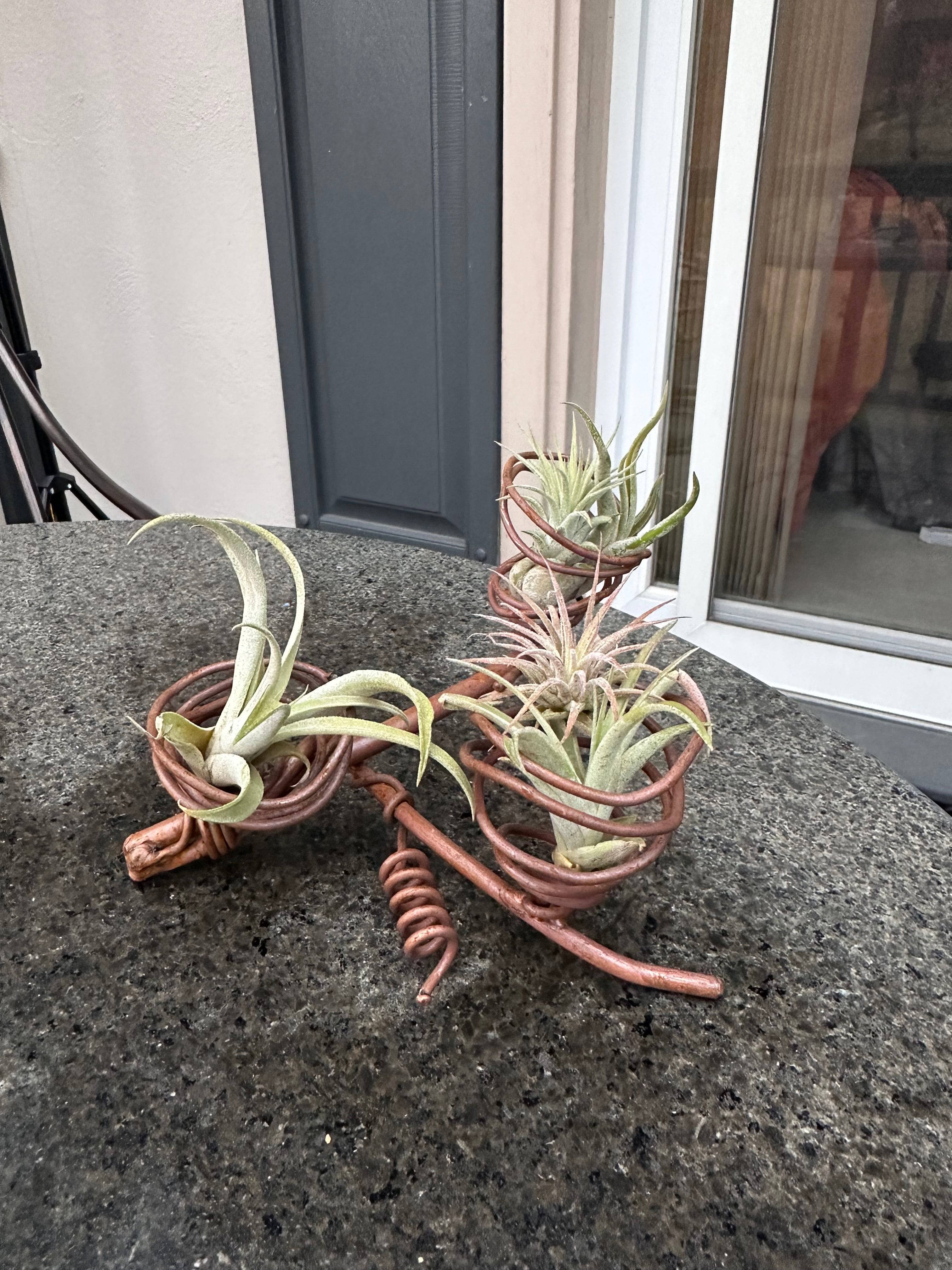 Triple Air Plant Holder - Modern Hanging Planter for Tillandsia - Perfect for Home, Office & Indoor Decor