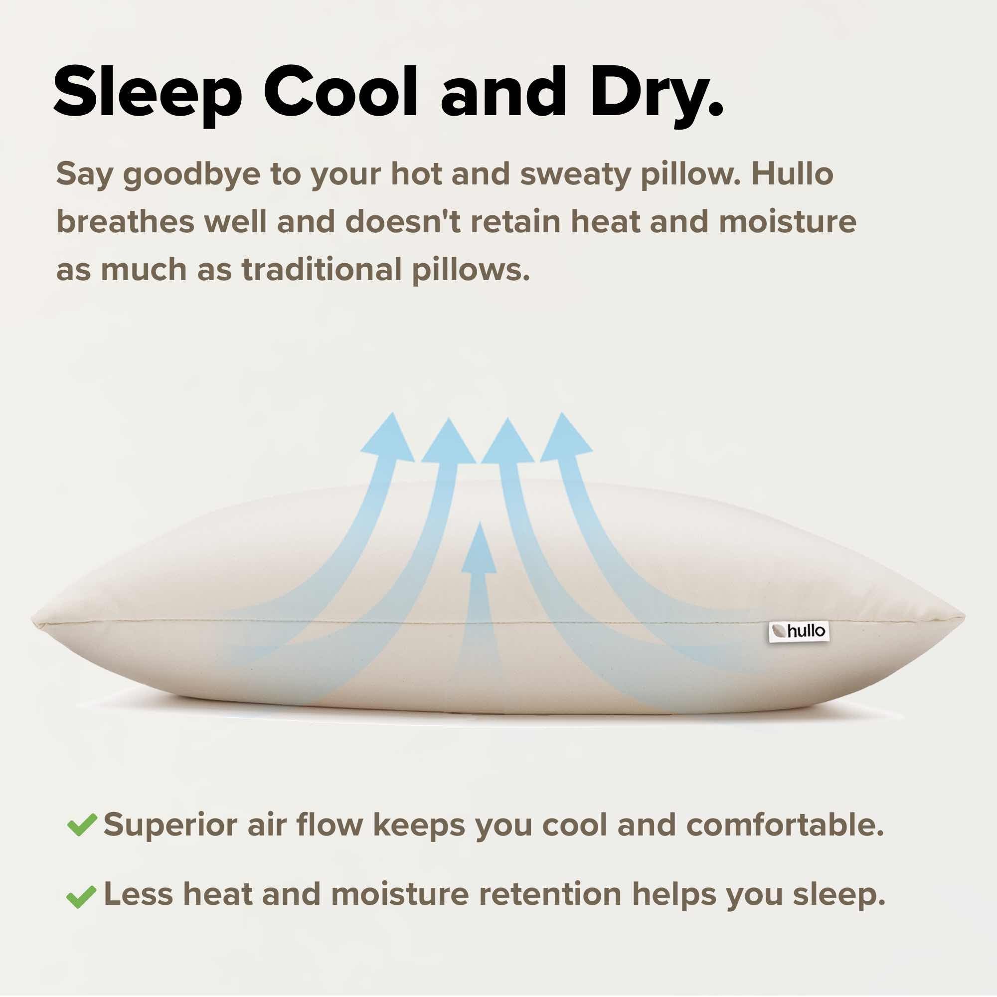 Organic Buckwheat Pillow Standard Size 20