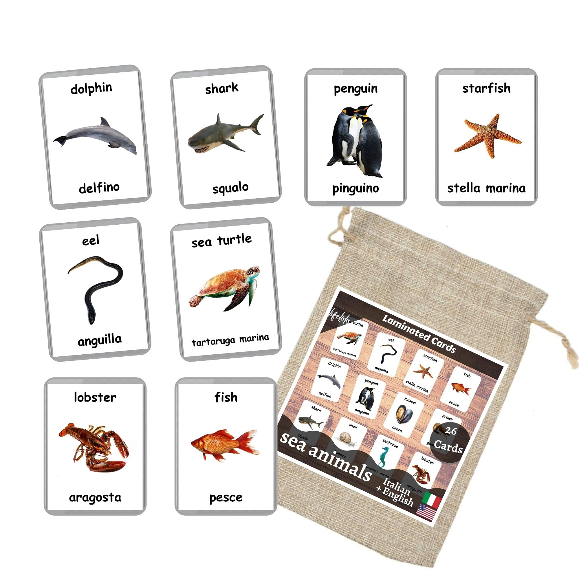 Sea Animals Flash Cards - 26 Laminated Ocean & Water Animal Flashcards for Homeschooling | Bilingual English + Italian Learning Cards | Educational Toys for Kids Classroom & Home Use