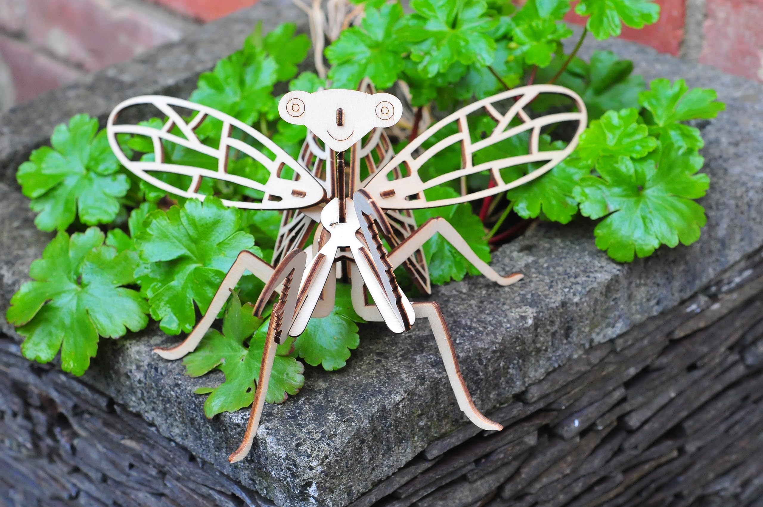 House of Marbles Build-a-Bug Wooden Insect Craft Kit - DIY Educational Toy for Kids, Creative STEM Activity for Classroom & Home Learning, Fun Birthday Gift for Boys & Girls Ages 5+