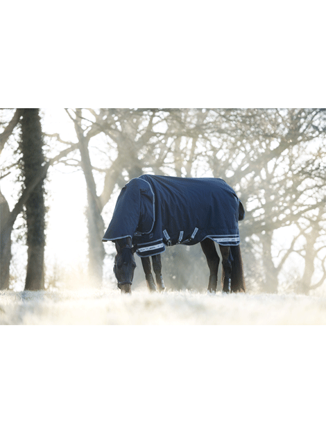 Arika Storm Tek Rug 200g Waterproof Turnout Blanket for Horses - Ideal for Cold Weather Riding and Stable Use
