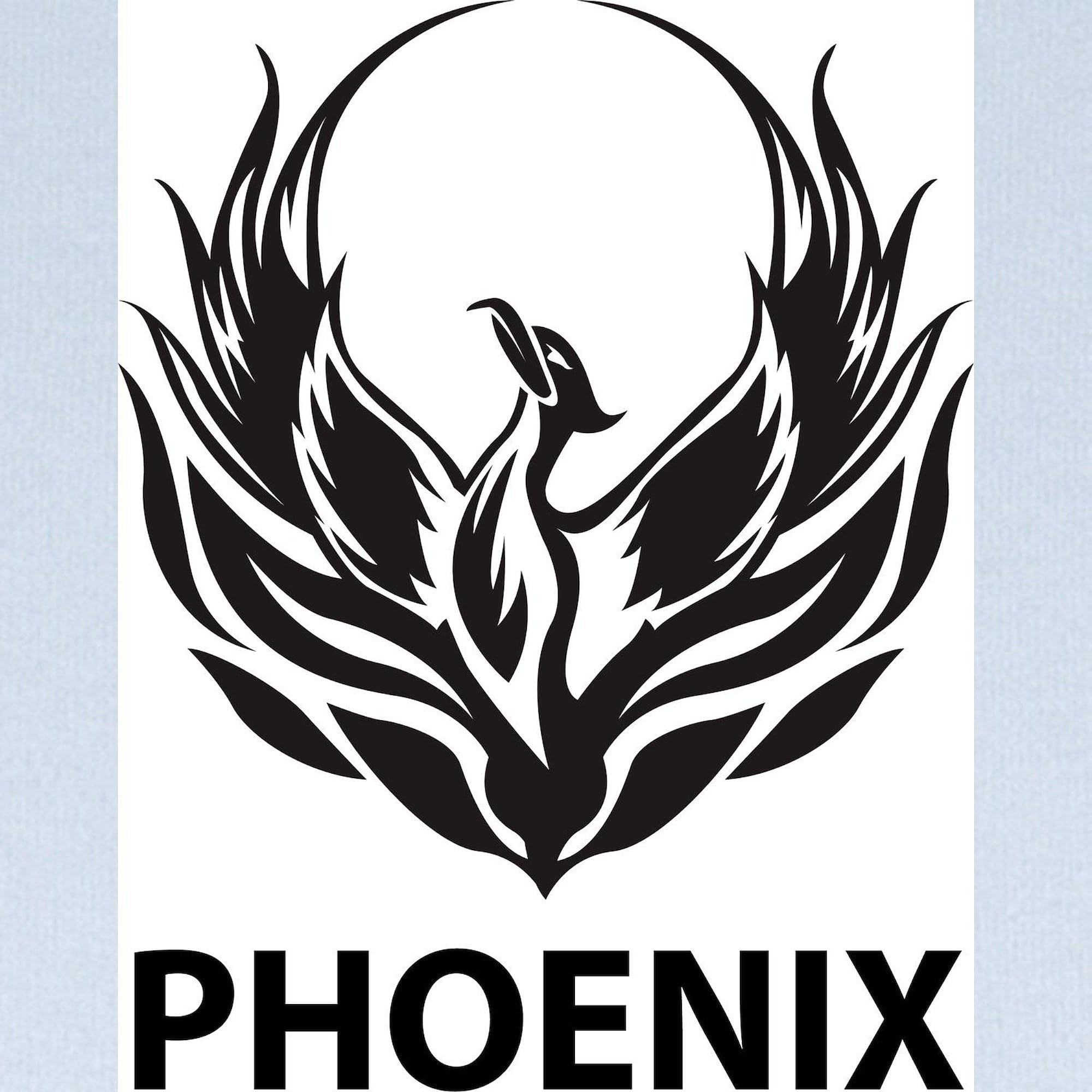 Phoenix Baby Blanket - Ultra Soft Newborn Swaddle & Receiving Blanket for Boys & Girls | Perfect for Nursery, Stroller & Photo Shoots | Cute Phoenix Bird Design