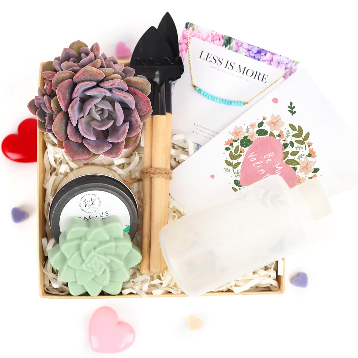 Premium Succulent & Air Plant Gift Box for Women - Personalized Plant Lover Gift Set - Unique Holiday & Birthday Present - Home Office Desk Decor & Housewarming Gift Idea