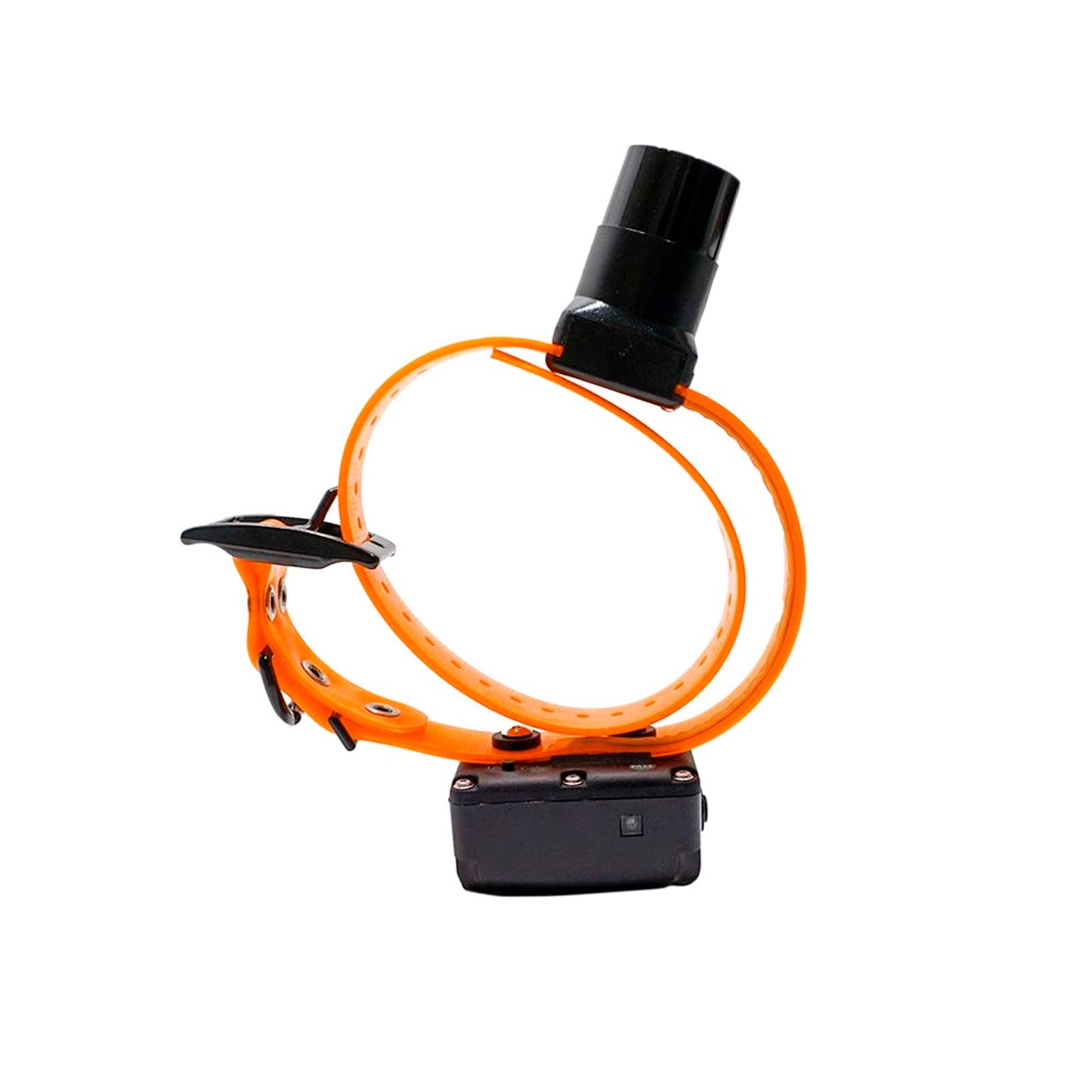 DT Systems BTB800 Upland Baritone Beeper Locator Dog Collar - Waterproof, Lightweight, Rechargeable Hunting Dog Tracker with Run/Point & Point Only Modes - Long-Range Audible Sound for Field Training & Bird Hunting