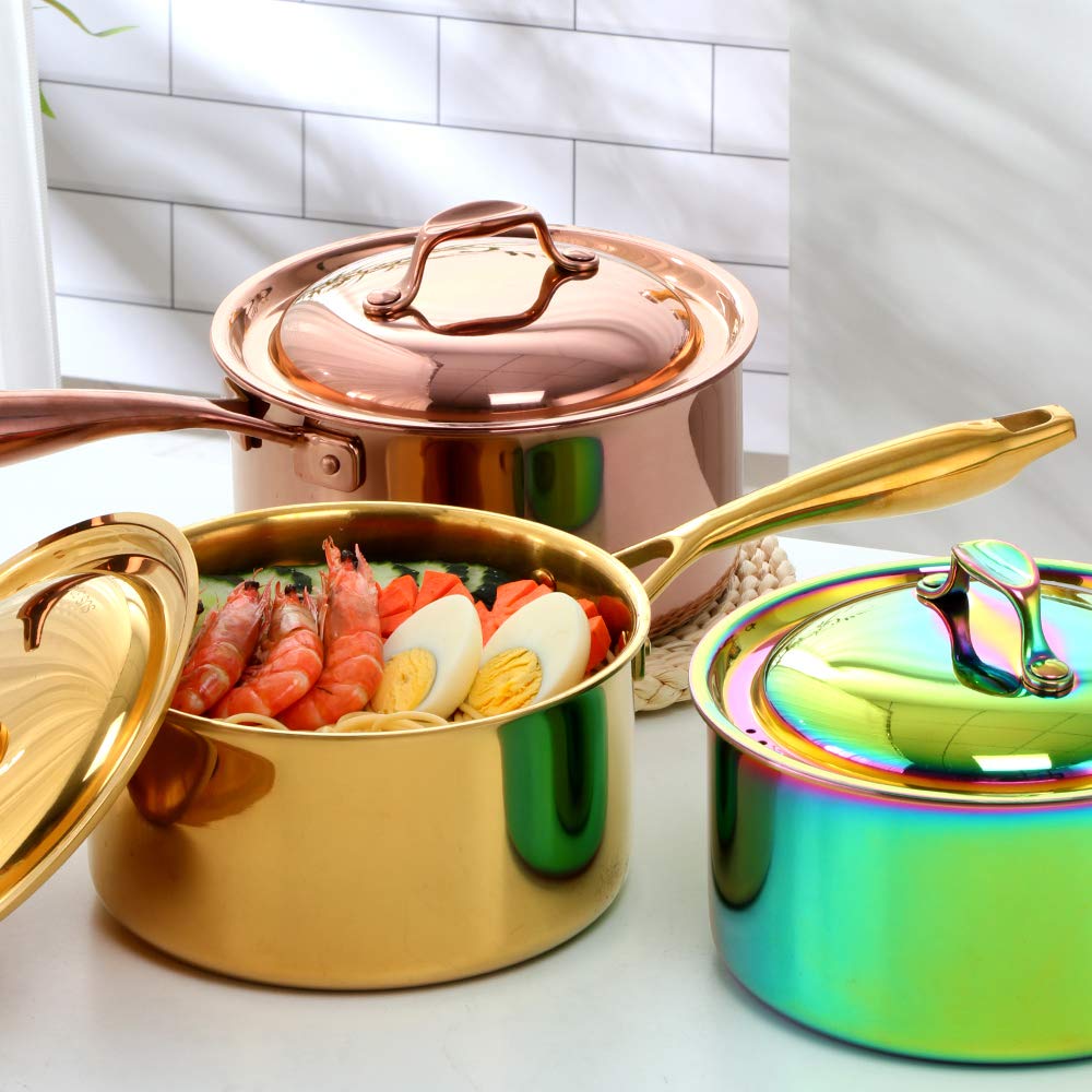 BuyGo 18/8 Stainless Steel Saucepan - 2.5 Quart Rainbow Cookware Pot with Heat-Resistant Handle, 3-Layer Multi-Purpose Induction Compatible Pot for Gas & Electric Stovetops, Dishwasher Safe - Perfect for Boiling, Simmering & Cooking Soups, Pasta & Sauces