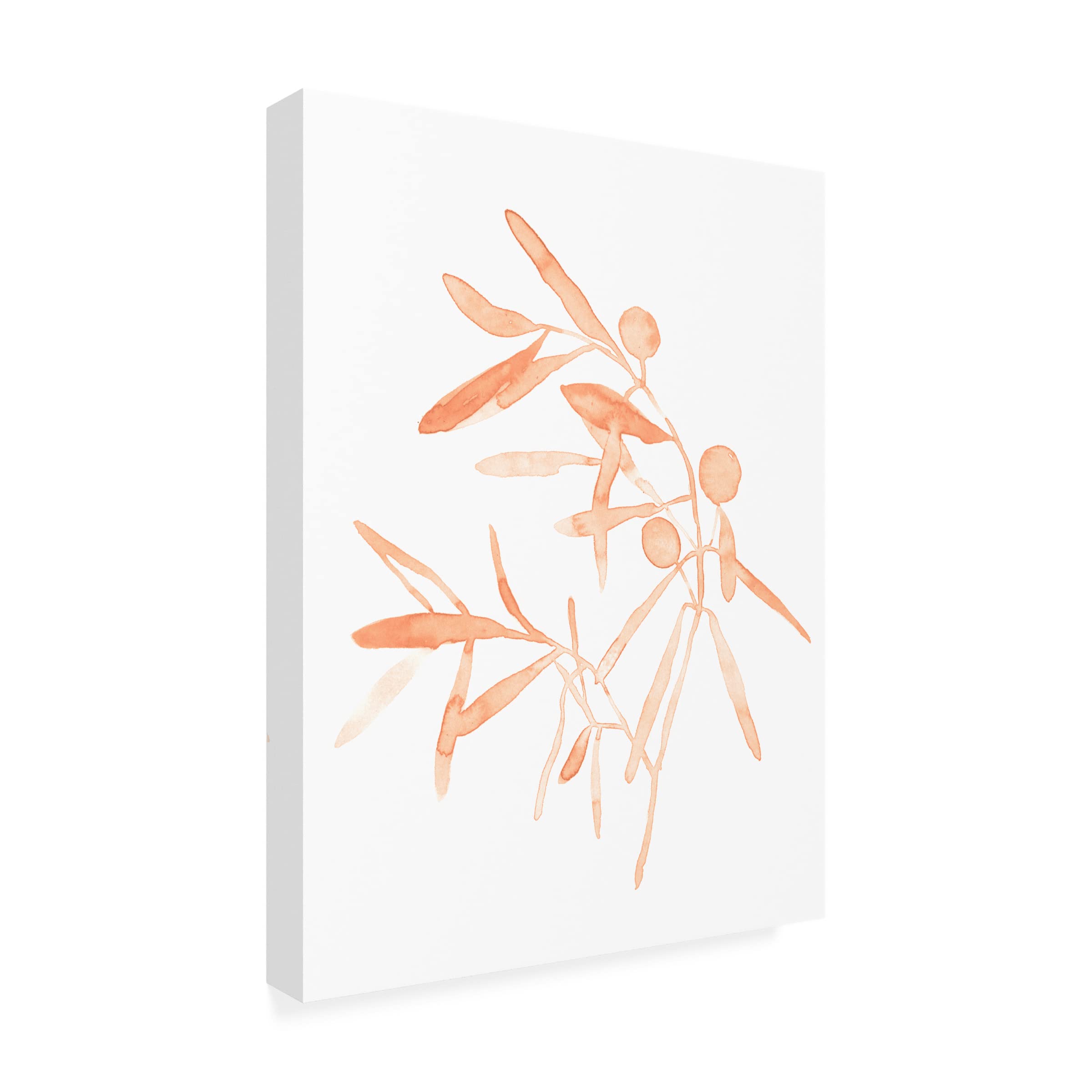 Emma Scarvey 'Blush Olive Branch IV' Canvas Wall Art Print - Modern Botanical Home Decor for Living Room, Bedroom & Office