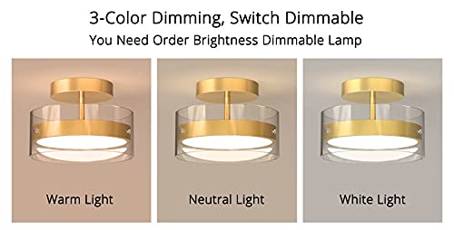 Modern LED Chandelier - Gold Minimalist Ceiling Light with Warm White Lighting for Hallway, Entrance, Balcony & Cloakroom | Energy-Efficient Indoor Decoration for Home & Office Spaces