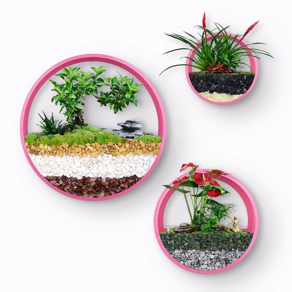 Ecosides 10