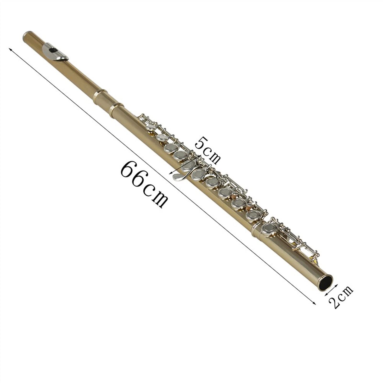 Professional 16-Hole Silver-Plated Flute with Keys - Includes Storage Case & Accessories | Ideal for Beginners, Students & Wind Instrument Enthusiasts | Perfect for Practice, Performances & Music Classes