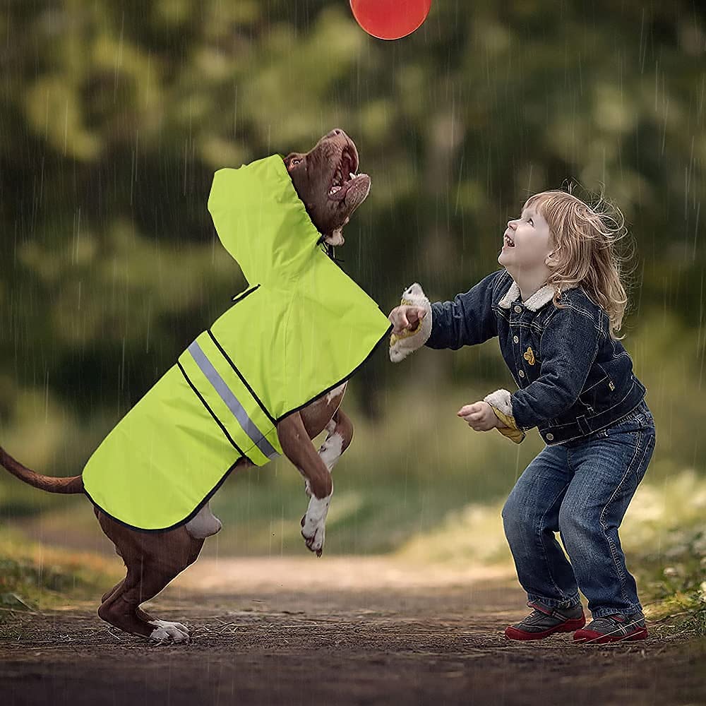Waterproof Dog Raincoat - Adjustable Lightweight Hooded Rain Poncho for Small to X-Large Dogs & Puppies | Outdoor Walking, Hiking & Rainy Day Protection (Neon Green, Large)