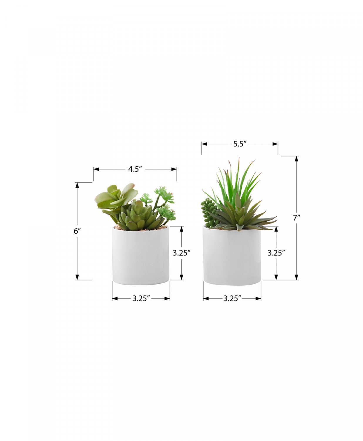 7 Succulent Plants with 3 White Pots - Green Indoor Garden Set of 2 | Perfect for Home Decor, Office Desk & Gift Giving