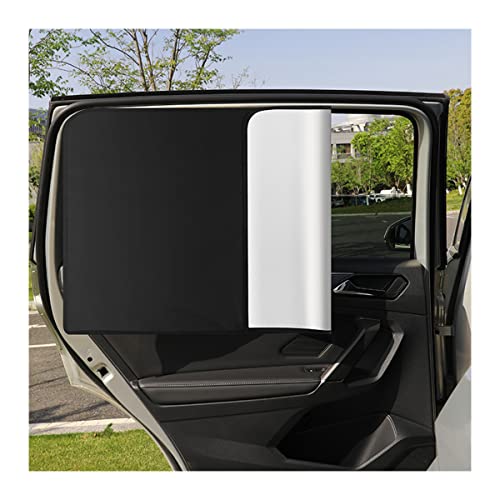 Silver-Back Window