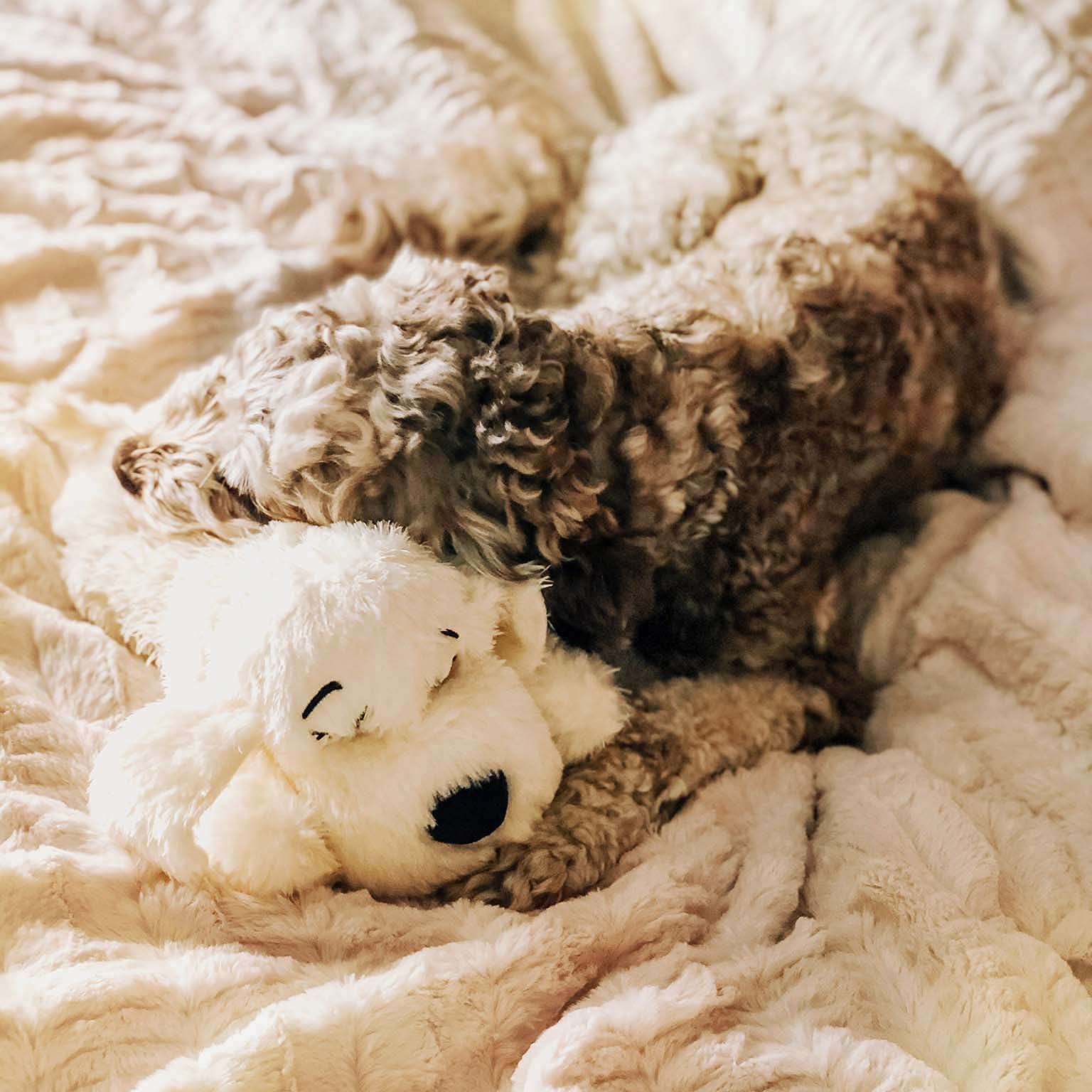 SmartPet Love Snuggle Puppy with Extra Heat Pack Bundle - 6-Pack Pet Heating Pads for Anxiety Relief & Comfort | Perfect for Puppies, Dogs, and Anxious Pets at Home or Travel