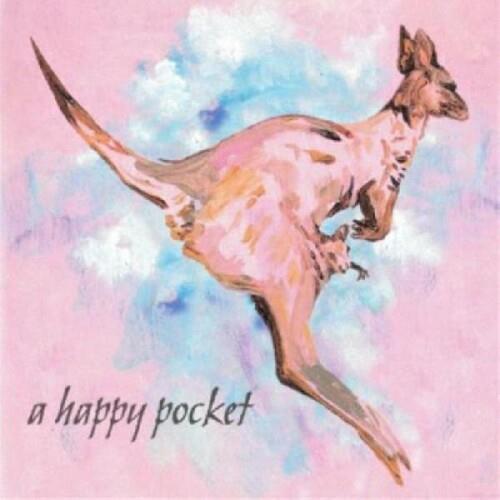 Happy Pocket Vinyl LP Record - Classic Music Collection for Home, Office & Party Playback