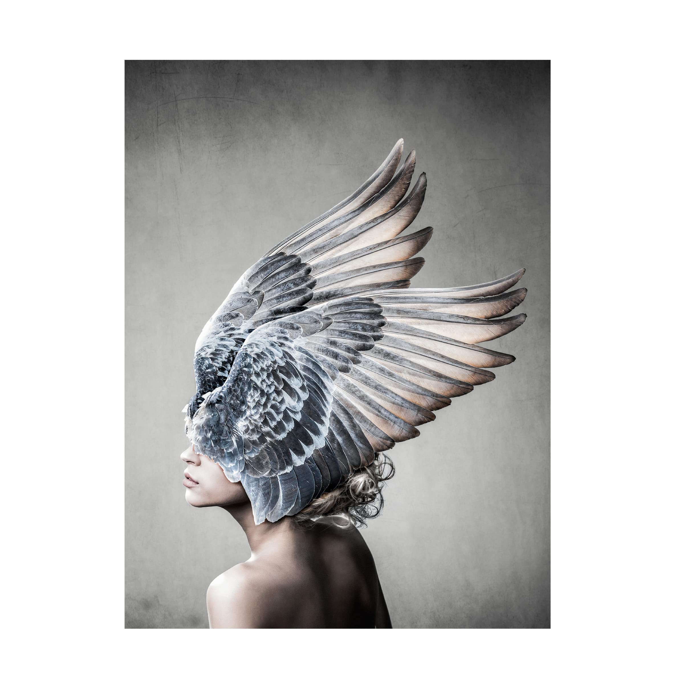 Trademark Fine Art 'Selene' Canvas Wall Art by Design Fabrikken - Elegant Home Decor for Living Room, Bedroom & Office