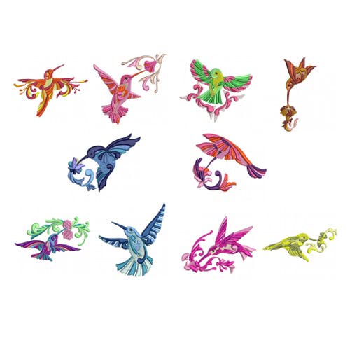 Birds2