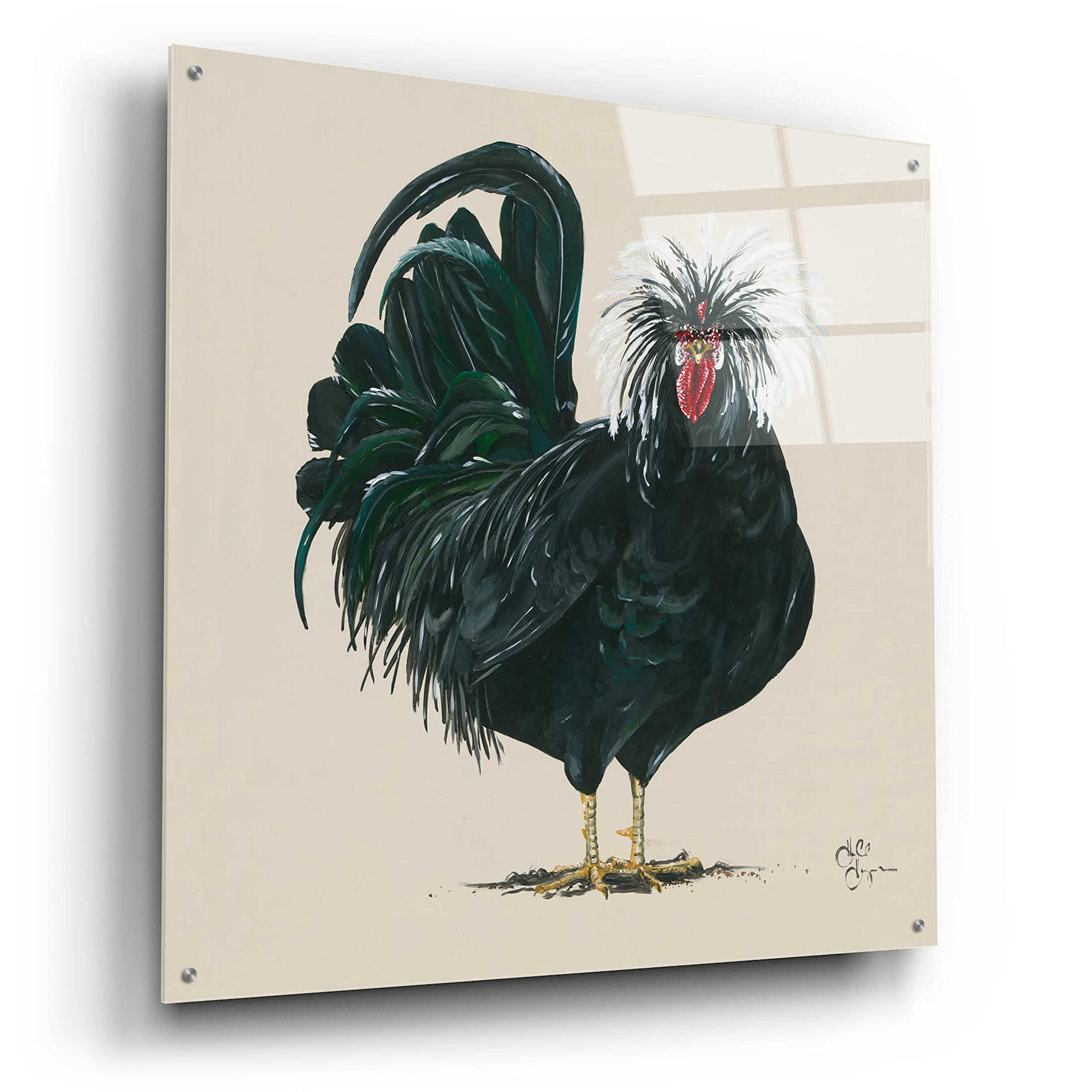 Epic 'Chicken' Acrylic Glass Wall Art by Hollihocks - 36x36 Inches Modern Home Decor for Living Room, Bedroom & Office