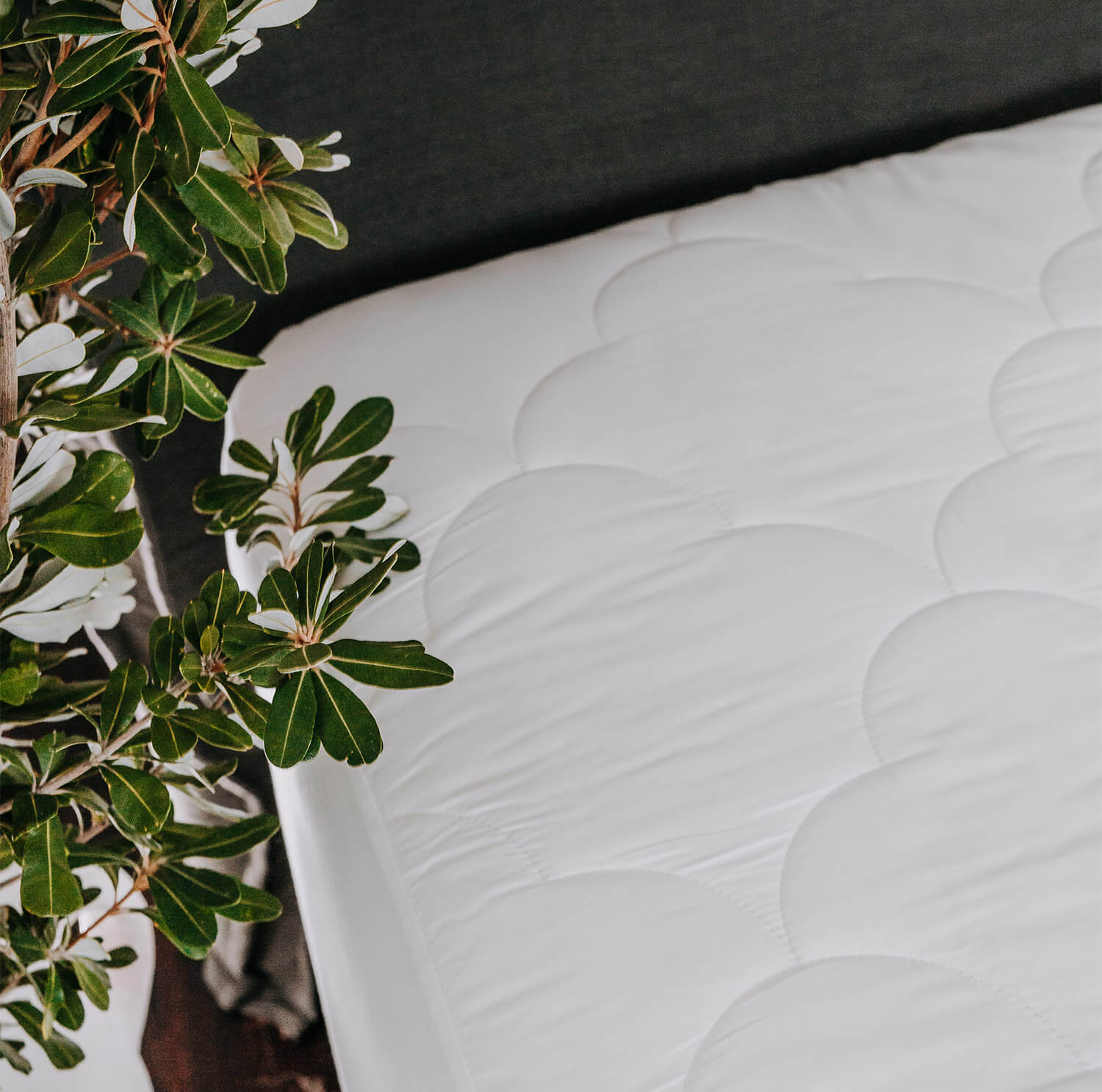 Ecorenew Tencel® Mattress Protector by Bambi - Waterproof, Hypoallergenic, Breathable Bed Cover for Allergies & Night Sweats - Perfect for Kids, Adults & Pet Owners