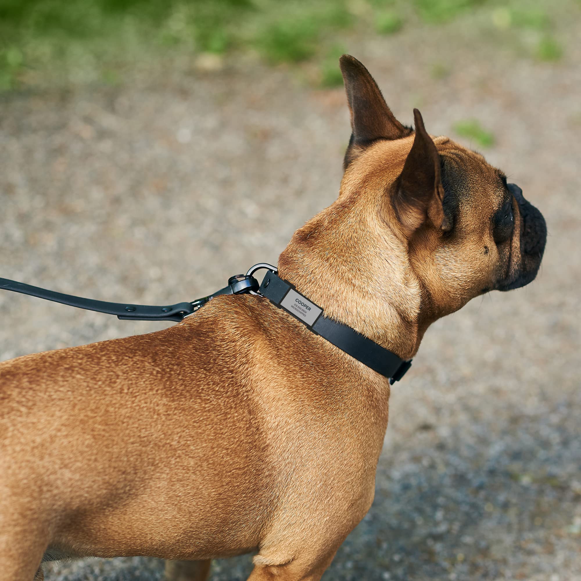 Custom Engraved Silicone Pet ID Tag - Personalized Dog & Cat Name Tag with No Jingle, Durable & Lightweight - Small Pink QALO Slide Over Tag for Daily Walks, Vet Visits & Pet Safety