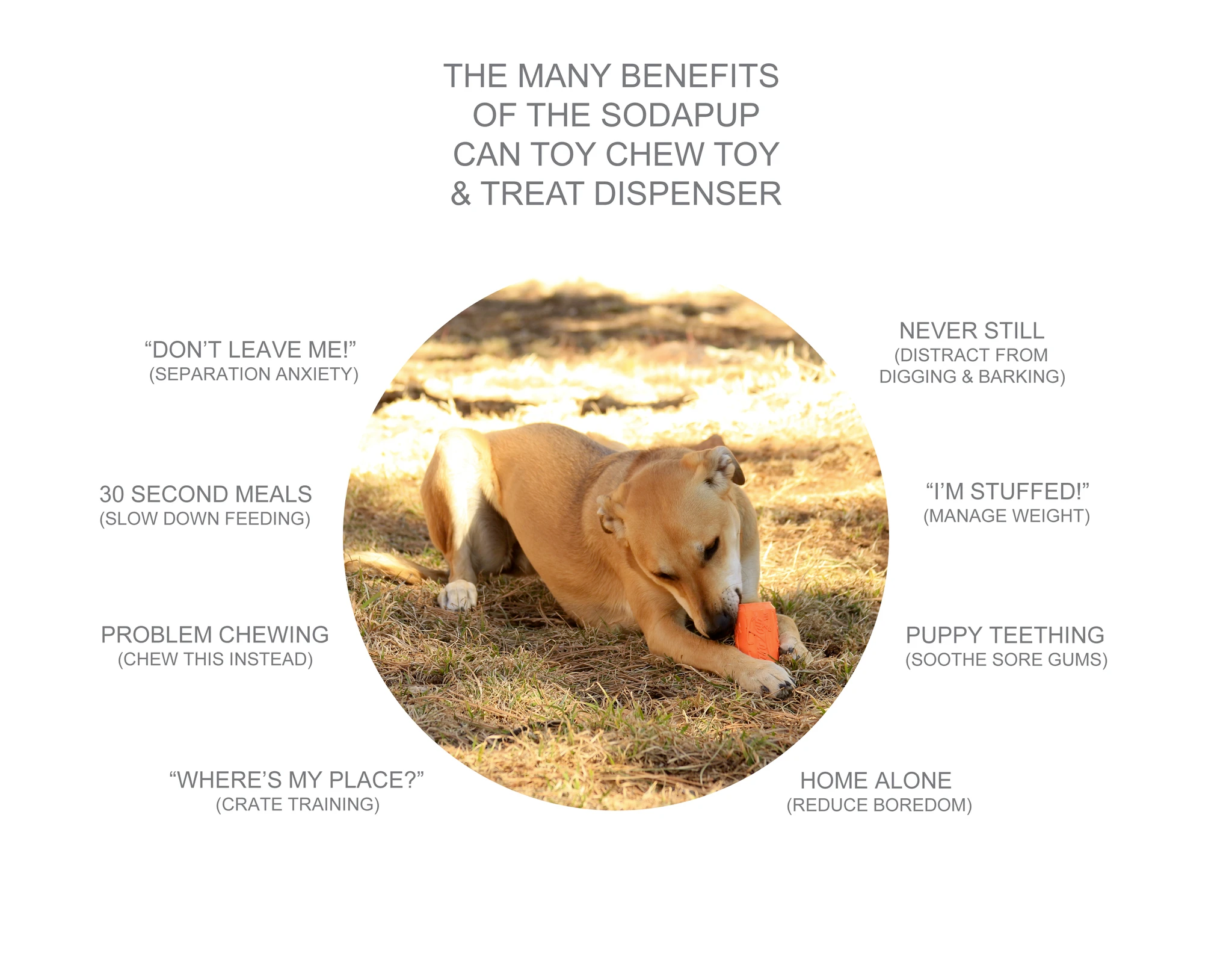 Natural Rubber Dog Treat Dispenser Toy - Black Magnum for Interactive Play & Training | Chew-Resistant & Durable for Large Breeds