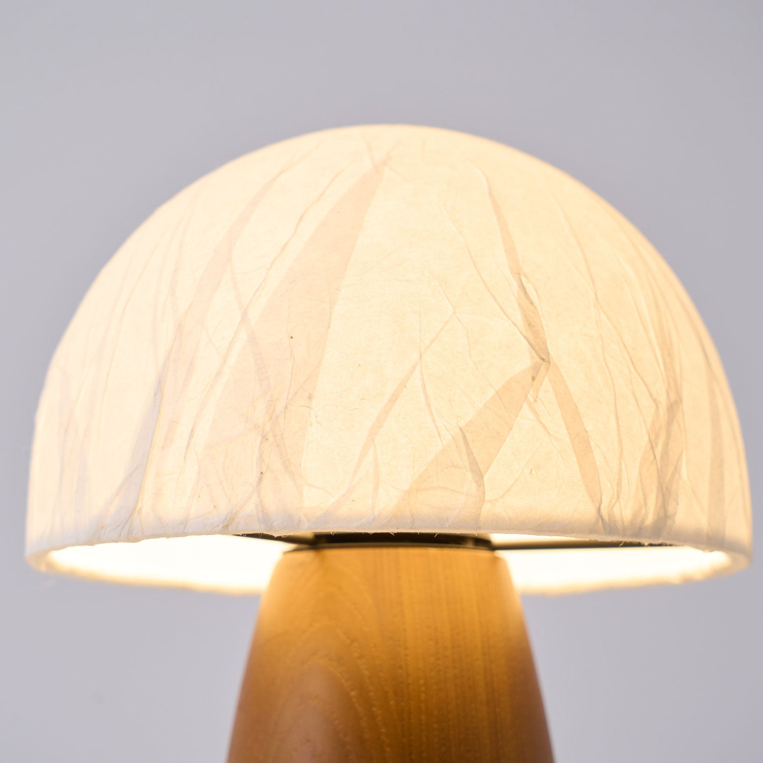 Myco Mushroom Table Lamp - Modern LED Night Light for Bedroom, Nursery, Living Room - Soft Glow & Energy Efficient - Perfect for Relaxation & Decor