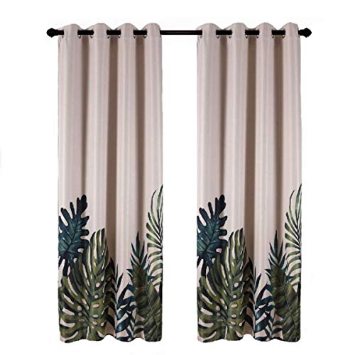 Tropical Plants