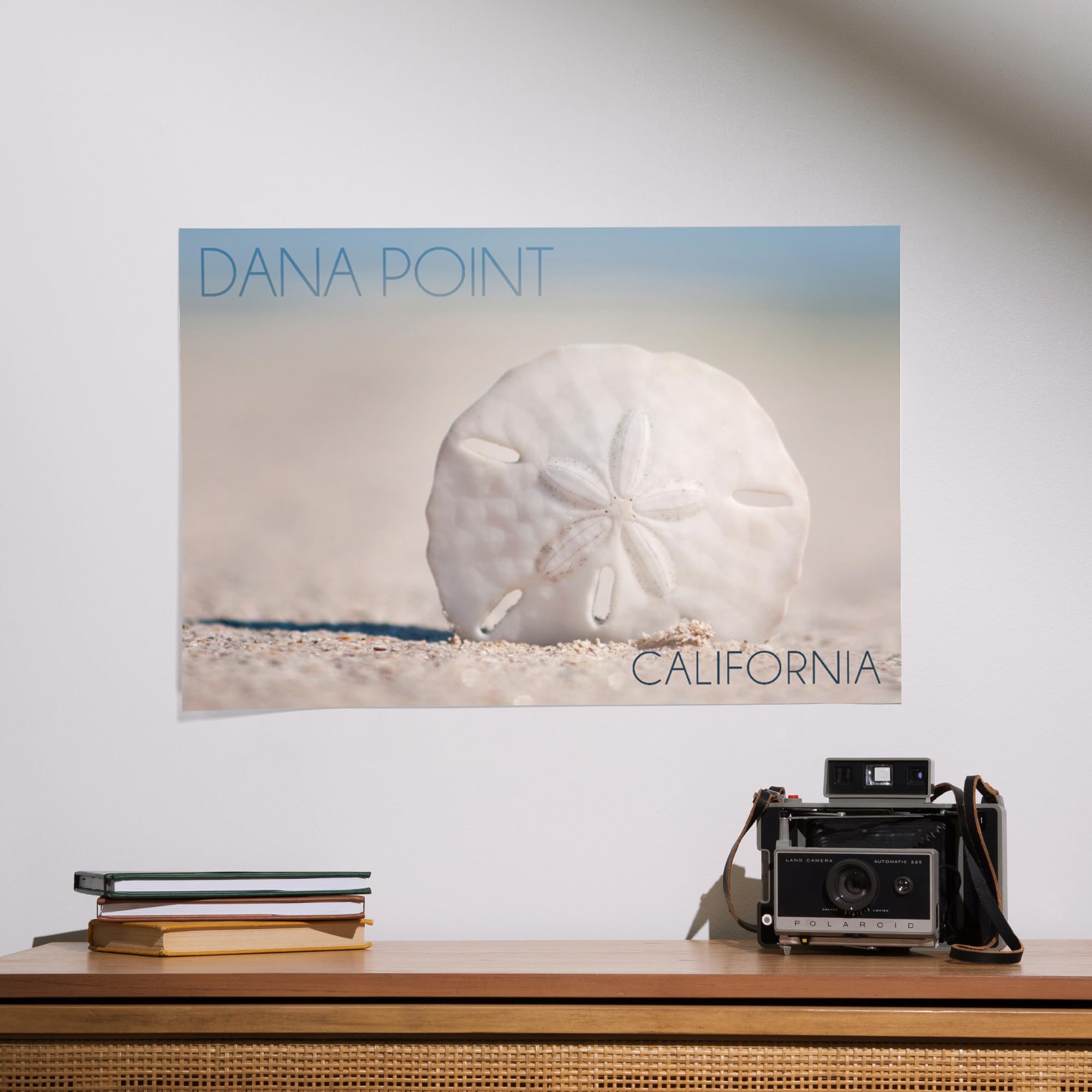Lantern Press 16x24 Inch Giclee Art Print - Coastal Wall Decor Featuring Dana Point California Beach with Sand Dollar | Perfect for Living Room, Bedroom or Beach House Decor