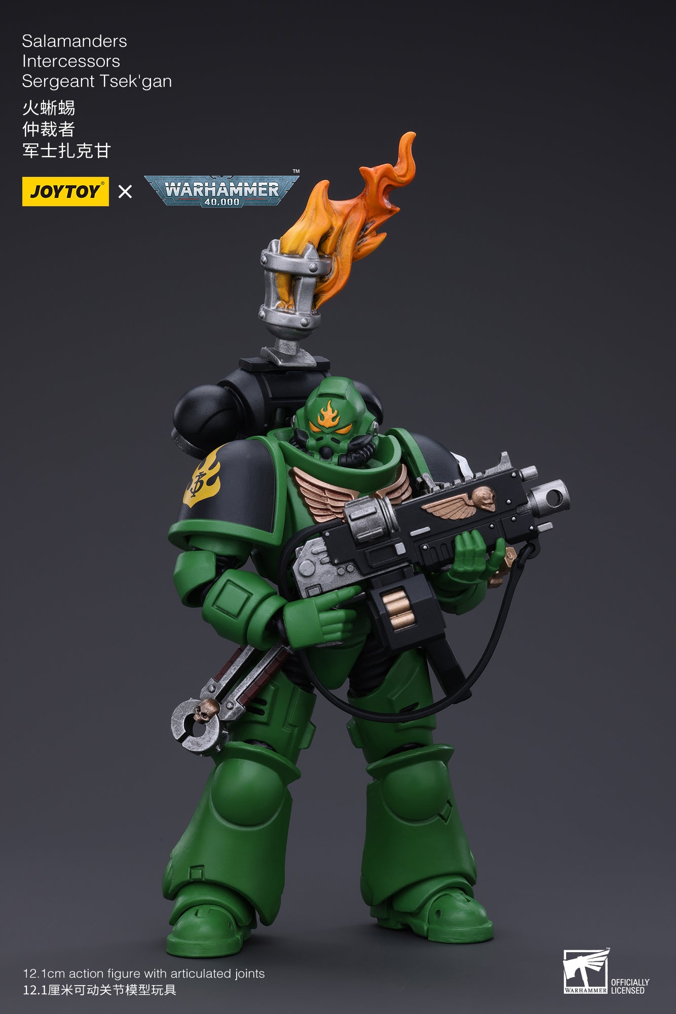 JOYTOY 3.75 Inch Warhammer 40K Salamanders Intercessors Sergeant Tsek'gan Action Figure - 1/18 Scale Collectible Model for Display & Gaming (Reissue Version) | Perfect for Warhammer Fans, Tabletop Battles & Sci-Fi Collectors