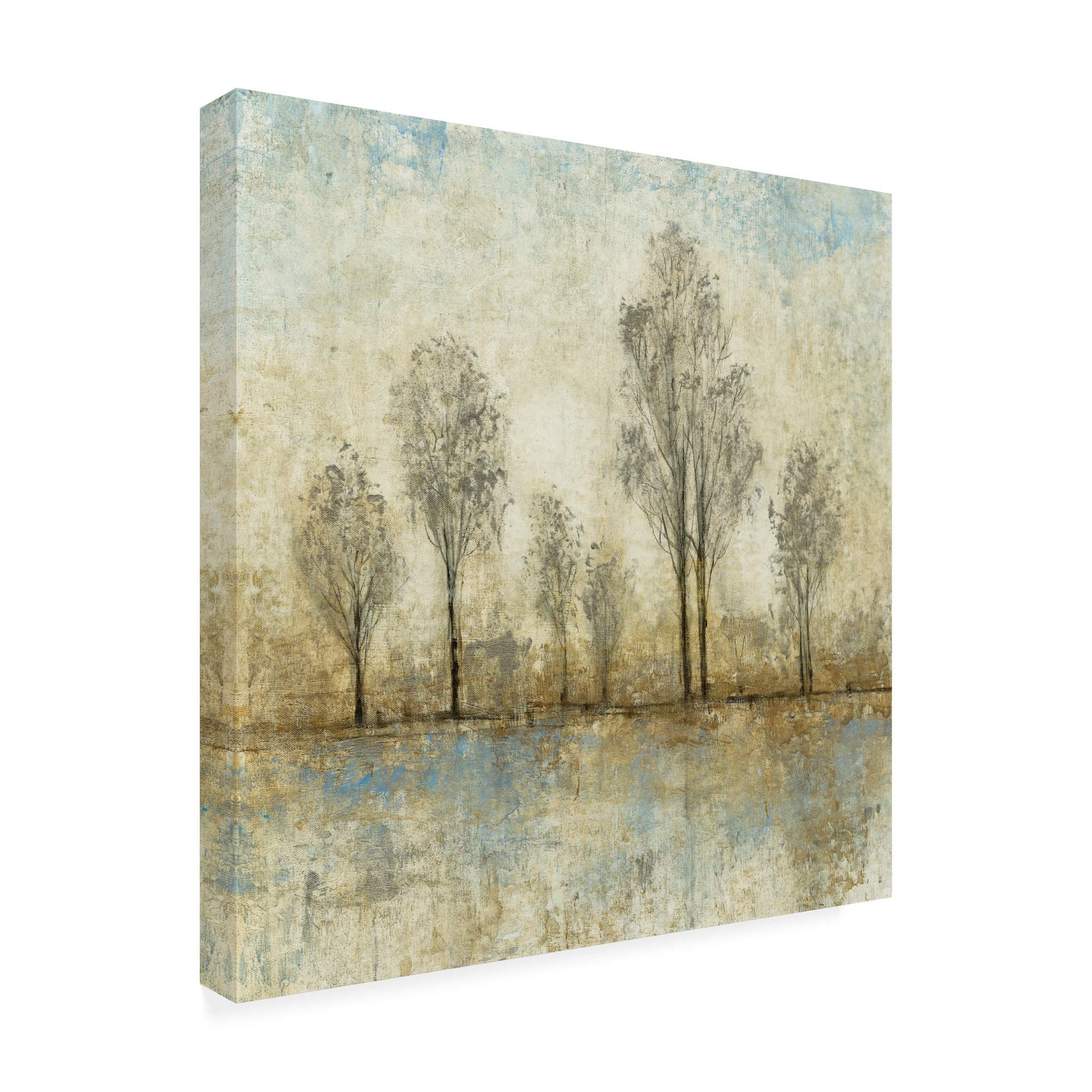 Trademark Fine Art - Tim Otoole's 18x18 Quiet Nature III Canvas Wall Art - Serene Landscape Painting for Living Room, Bedroom & Office Decor