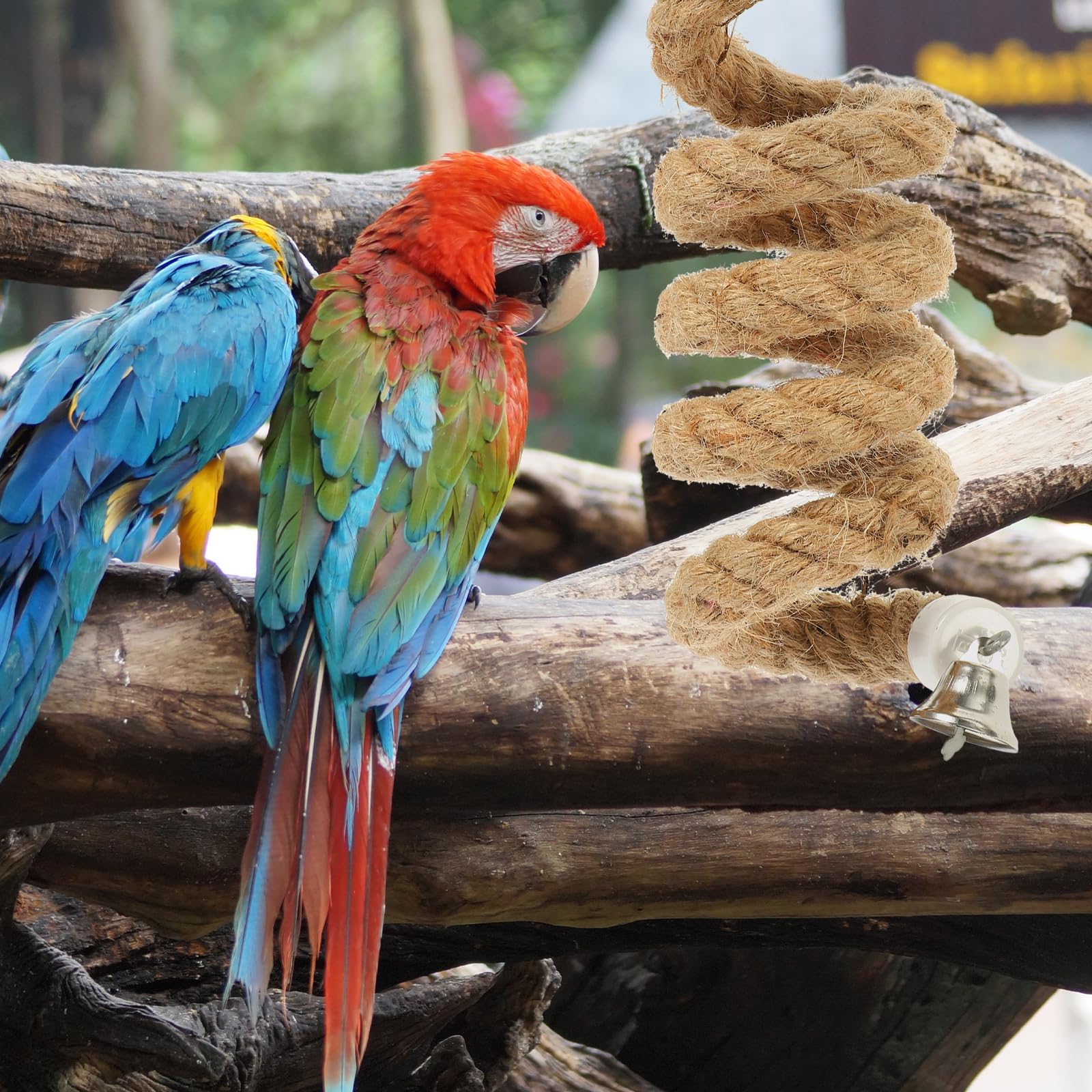 Parrot Swing & Chew Toys - 1m Jute Rope Perch for Parakeets - Climbing & Play