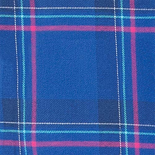 Indigo Plaid