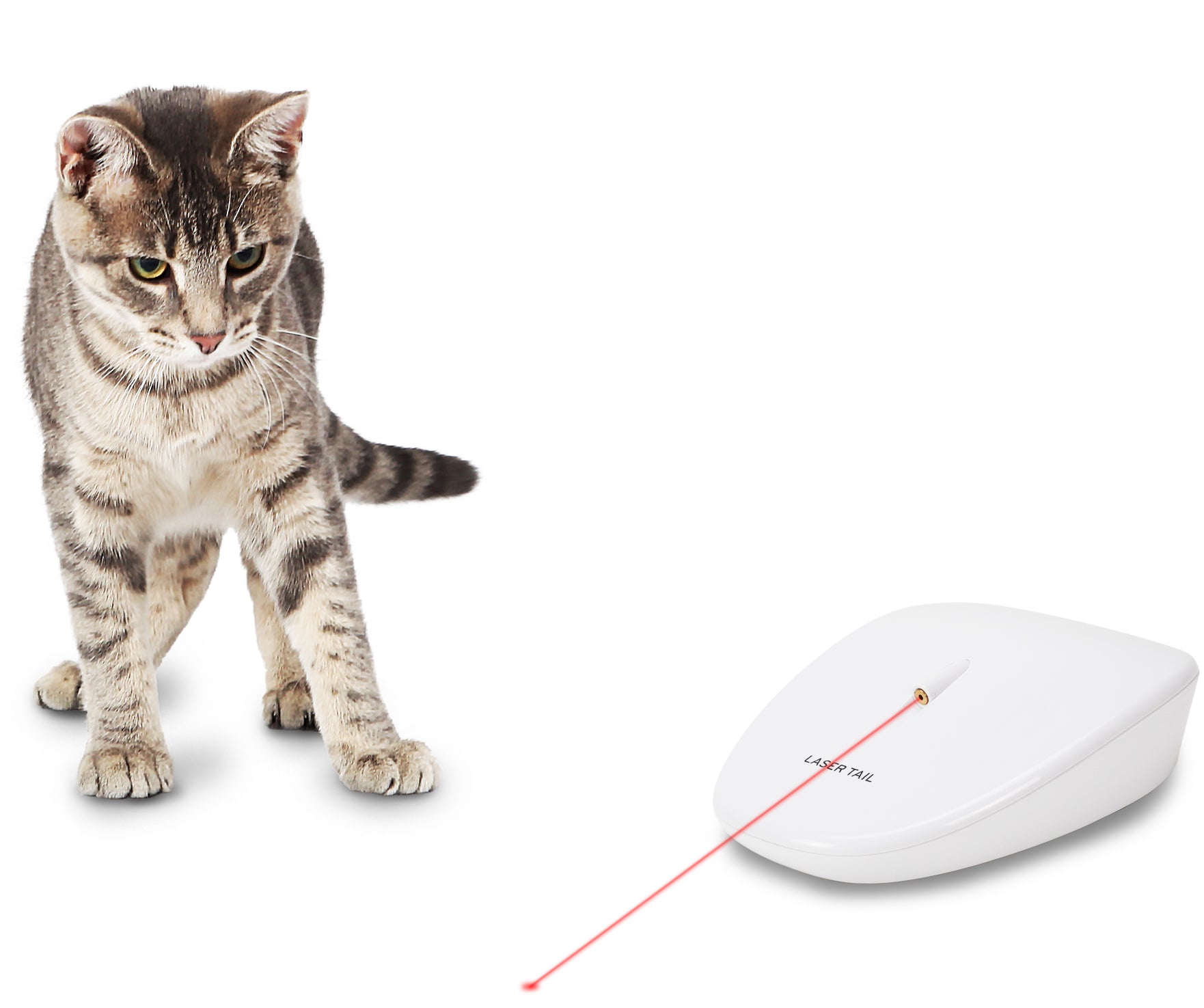Automatic Laser Cat Toy with Random Movements - Interactive Pet Toy for Cats by PetSafe® | Fun Exercise & Playtime for Indoor Cats