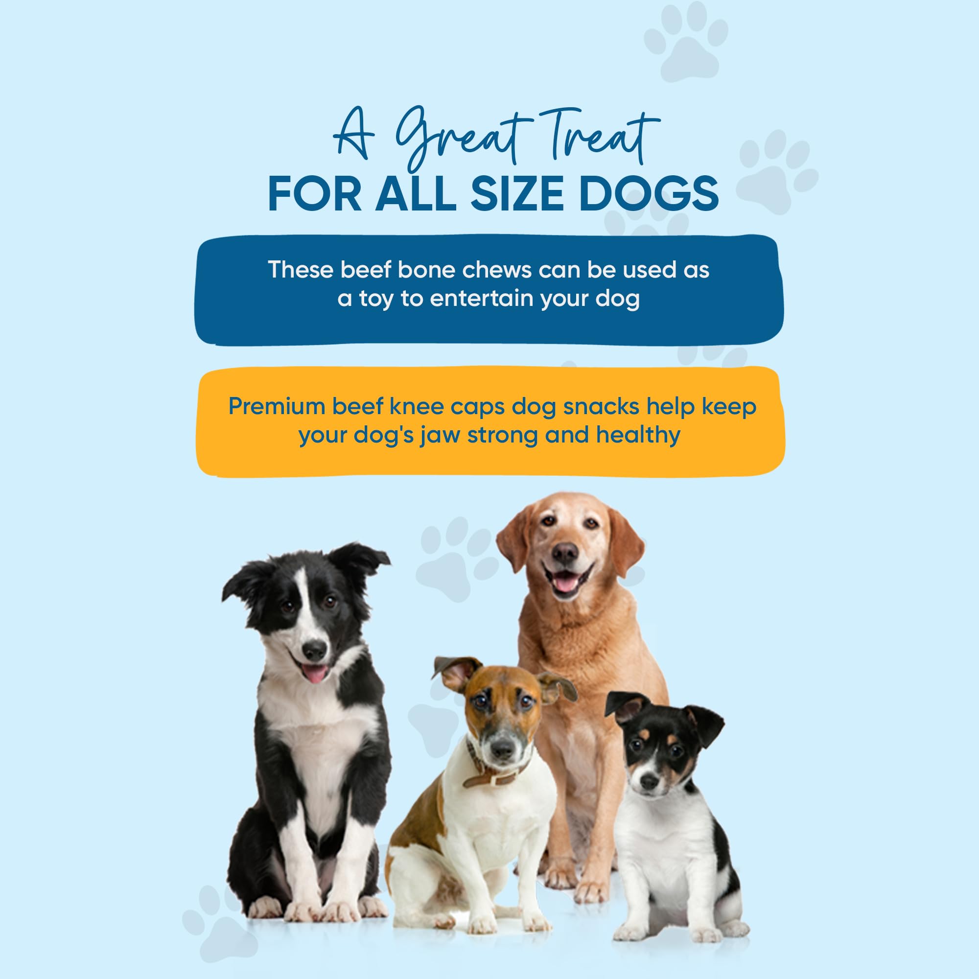 Premium Grass-Fed Beef Knee Caps for Dogs – 30 Count Natural Protein-Packed Knee Bone Treats | Easily Digestible Dog Chews for Dental Health & Joint Support | Perfect for Training, Rewards, and Long-Lasting Chewing