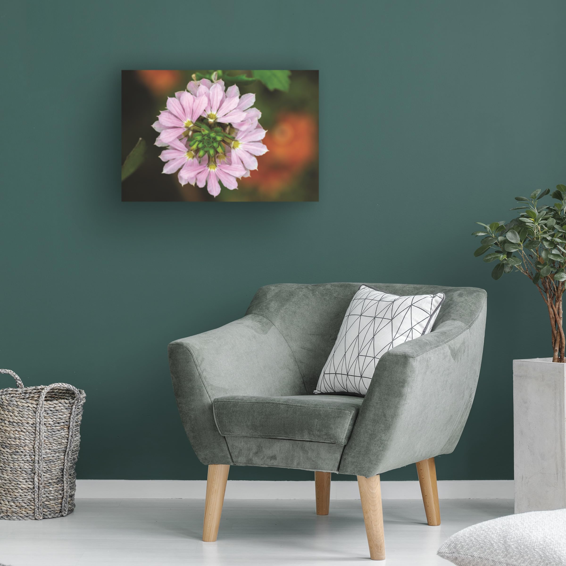 Kurt Shaffer Pink Fan Flower Canvas Art Print - Stunning Floral Photography for Home & Office Decor - Perfect for Living Room, Bedroom, or Gift
