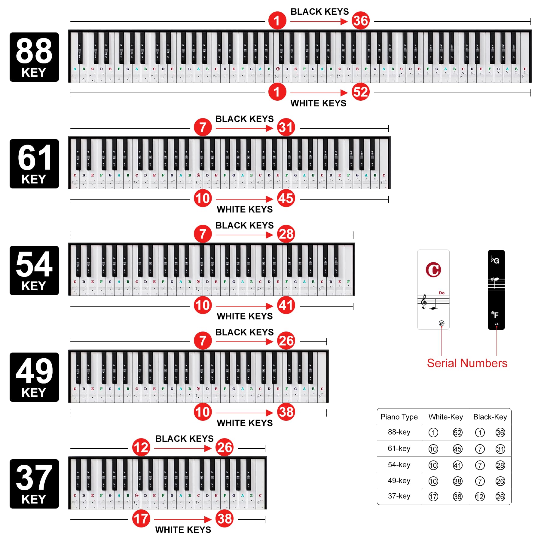 **88/61/54/49/37 Key Piano Keyboard Stickers - Bold Large Letter Removable Note Labels for Beginners & Kids (Multicolor) - Perfect for Learning Piano at Home or School**