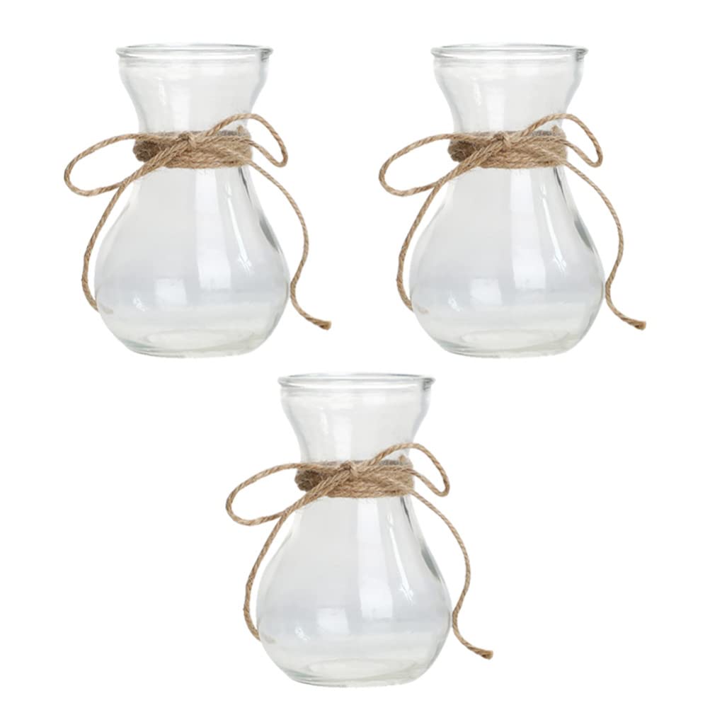 3-Piece Personalized Glass Hydroponic Vase Set - Elegant Bud Vases for Flowers, Air Plants & Terrariums - Perfect for Home Decor, Wedding Centerpieces, Party Decorations & Desktop Displays