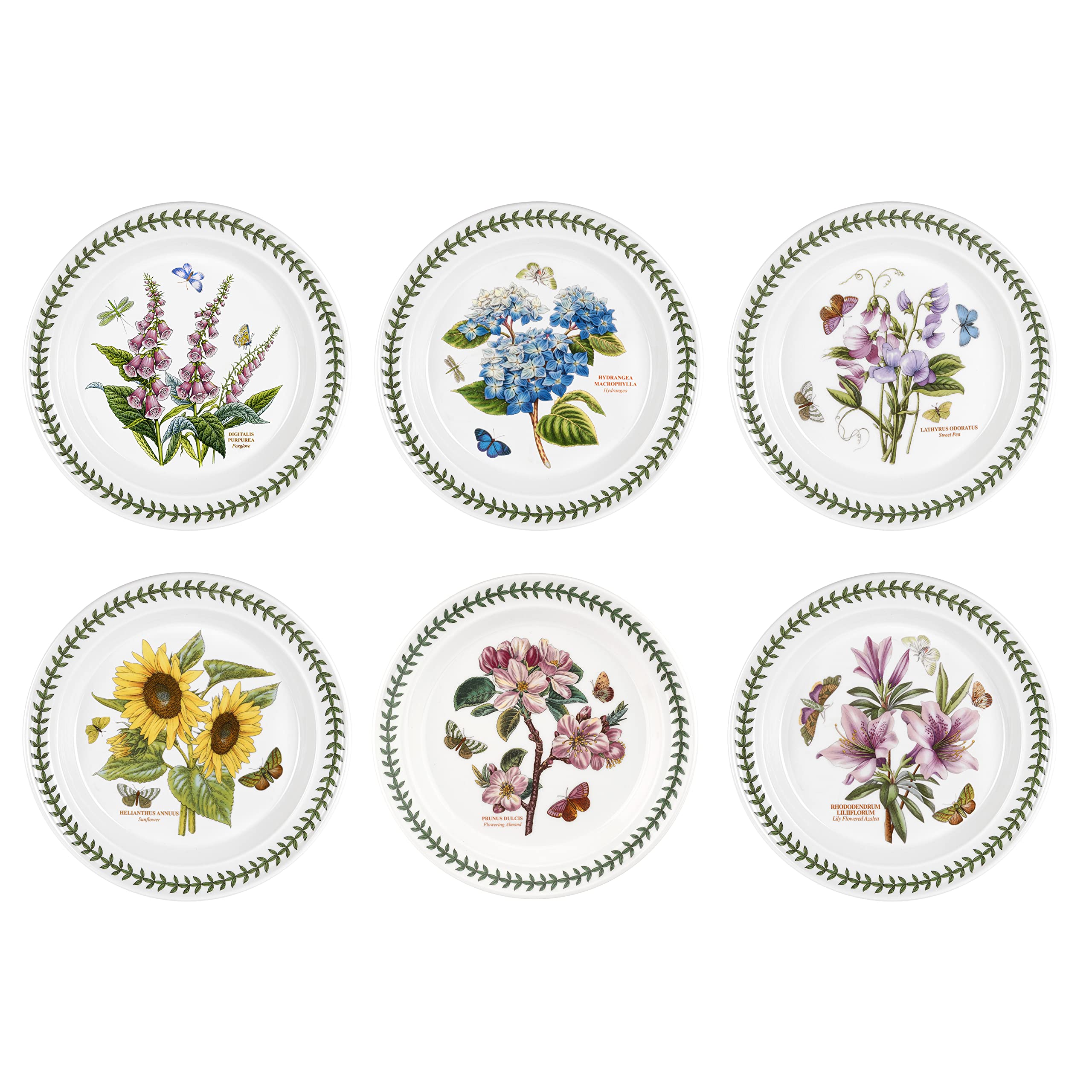 Portmeirion Botanic Garden Dinner Plates Set of 6 - 10.5 Inch Floral Design Ceramic Plates | Dishwasher, Microwave & Oven Safe | Made in England | Perfect for Dining, Entertaining & Special Occasions