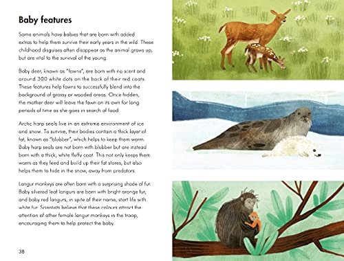 Baby Animals - A Ladybird Book | Educational Children's Book About Baby Animals | Perfect for Bedtime Stories & Early Learning