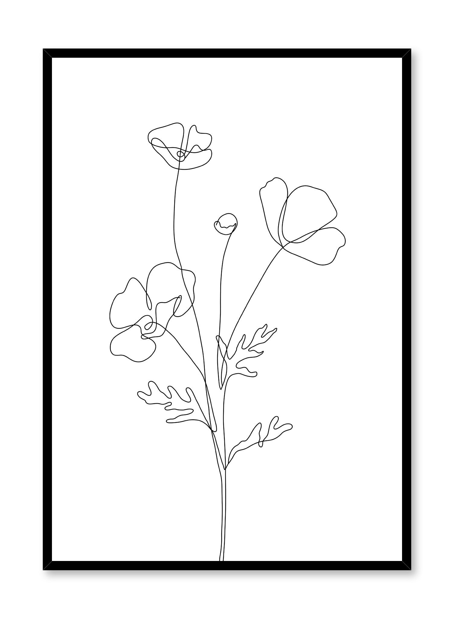 Poppy Sketch Art Print Poster - Floral Botanical Wall Decor for Home, Office & Gift - Perfect for Living Room, Bedroom & Nursery