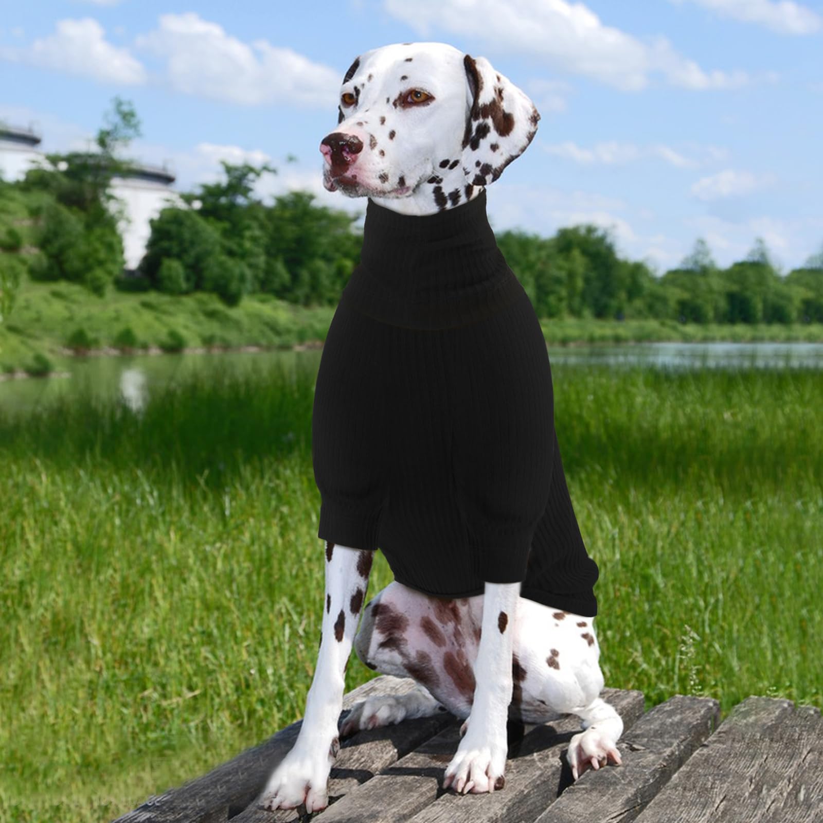 ROZKITCH 2-in-1 Dog Hoodie Shirt with Detachable Ears - Soft Lightweight Striped Pullover Sweater for Small Medium Large Dogs (Black, 2XL) - Perfect for Outdoor Walks, Pet Costume Parties & Winter Warmth