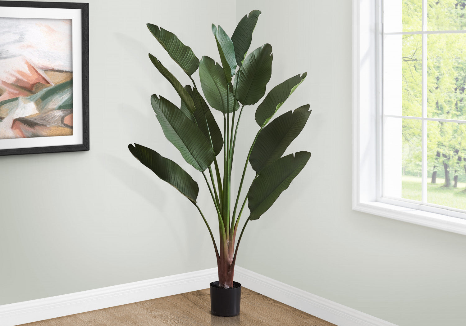 83 Bird of Paradise Plant with 8