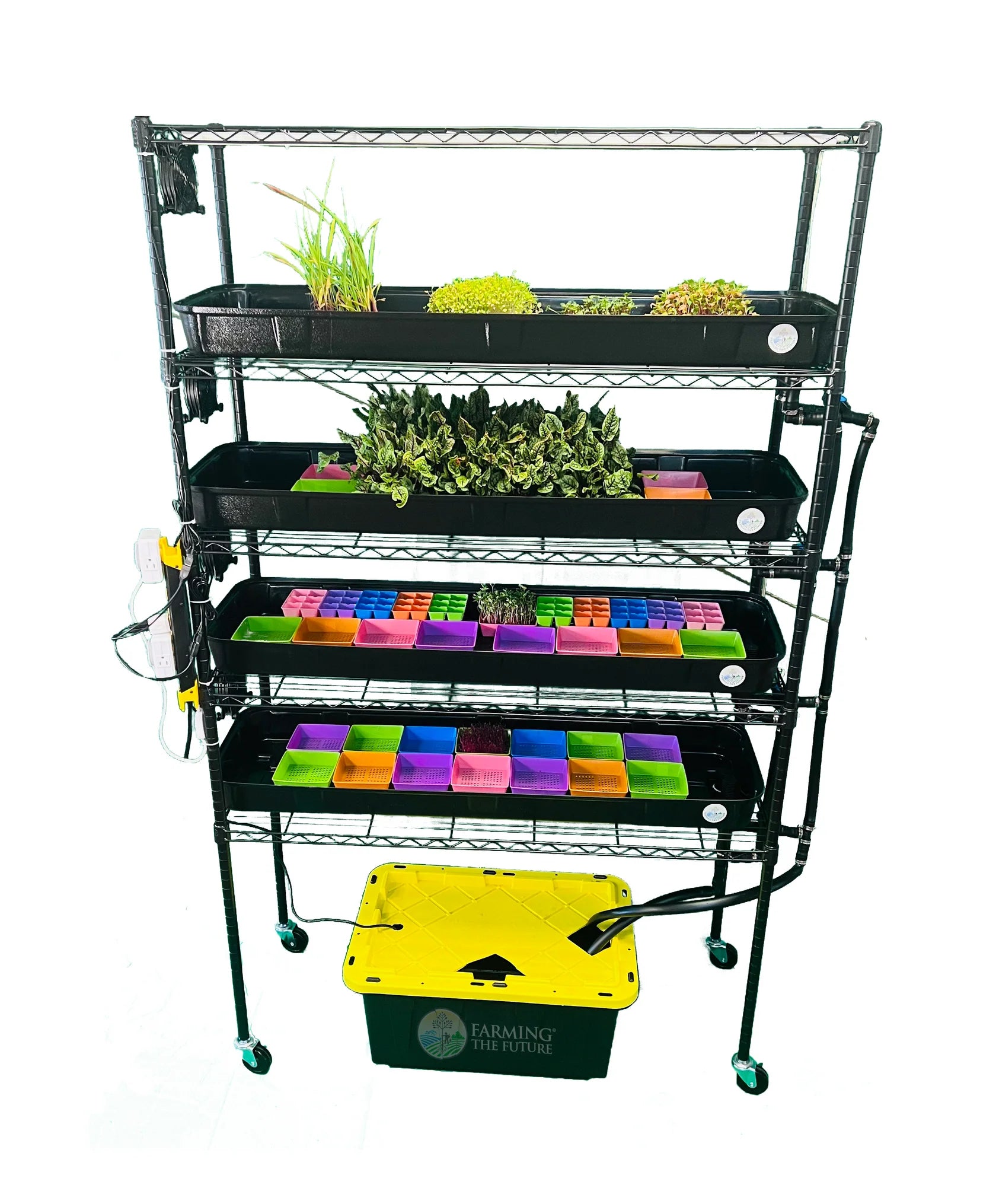 Hydroponic Grow Rack for School & Home - Compact Indoor Gardening System for STEM Education & Small Spaces | Perfect for Classrooms, Labs & Urban Farming