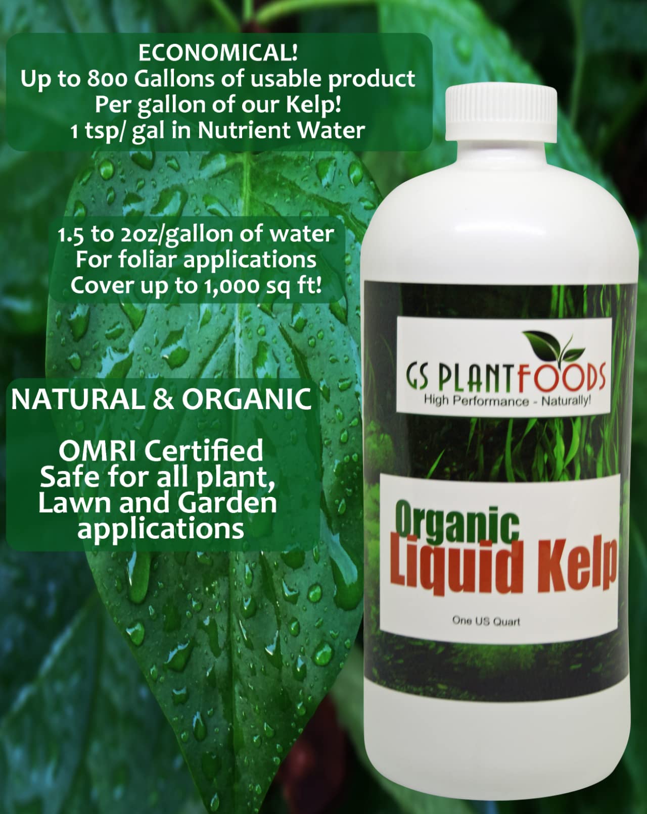 Organic Liquid Kelp Fertilizer by GS Plant Foods (5 Gallon) - Natural Plant Food for Gardens, Lawns, Soil & Hydroponics - Concentrated Seaweed Extract for Healthy Plant Growth - Ideal for Vegetables, Flowers, Trees & Indoor Plants