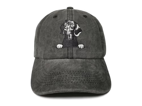 Dachshund (Washed Black)